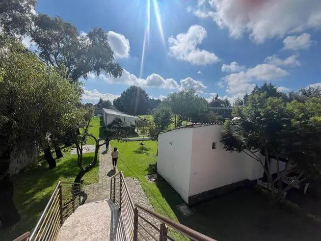 Trayectoria y legado